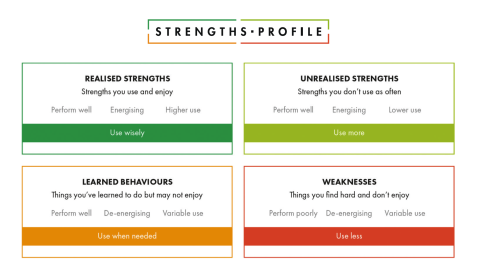 Find out more about your strengths - using strengths profile from Cappfinity 