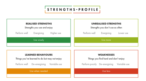 Find out more about your strengths - using strengths profile from Cappfinity